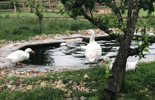 Peacock Barn - Photo 30