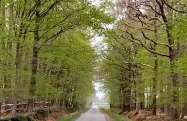 Urlaub Nord-Ost - Foto 16