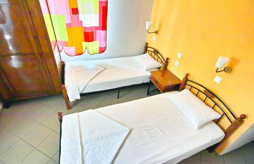 Plumeria Flowery - Foto 35