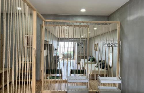 Caniçal houses - Madeira - Photo 43