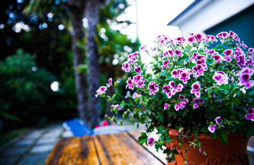 Casa Campli - Foto 15