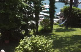 Le palme Antonella - Foto 11