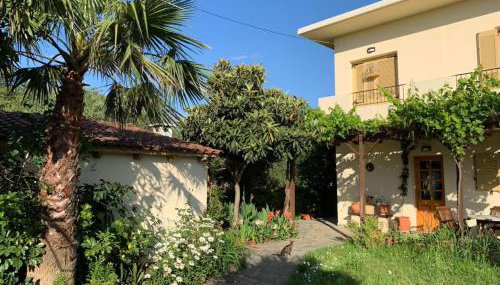 VILLA FATIMA - Photo 2, Garden