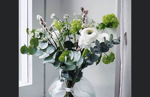 Gîte des ouches - piscine - Foto 17