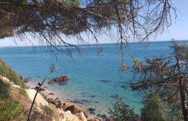 Pateo da Memória-Casa do Artesão - Foto 24