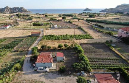 MANOLIS COTTAGE THANOS - Foto 22