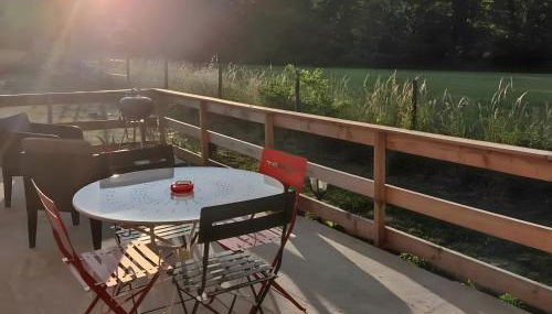 Au chant des oiseaux - rouge gorge - Foto 3