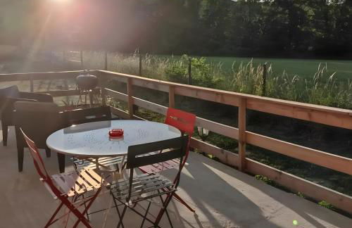 Au chant des oiseaux - rouge gorge - Foto 3