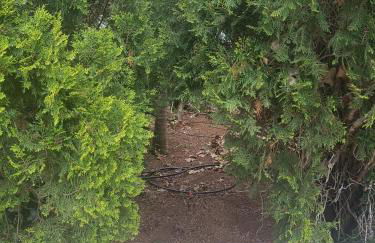 Villa Ilusión - Foto 72