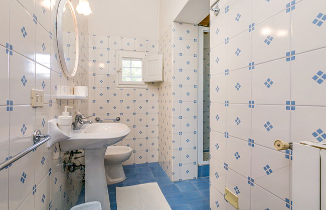 Scaletta + GIrasole - Foto 27