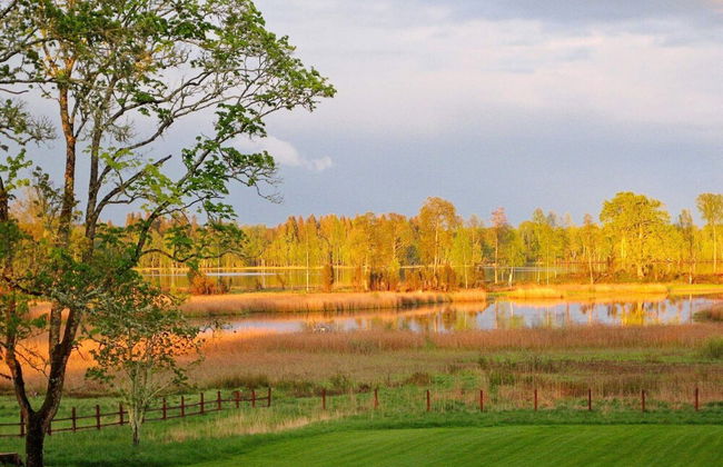 15 Person Holiday Home in Hjortkvarn-by Traum - Foto 50