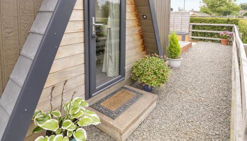 Alstroemeria - Photo 3