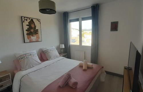 Petit Paradis Hyper Centre Sanary 3 chambres Parking Clims Wifi Terrasse - Foto 15