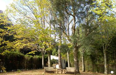 Ca la Cèlia casa con Spa, piscina y BBQ - Foto 37