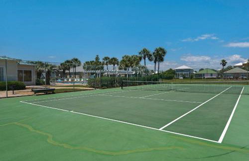 Sandy Pelican - Foto 39