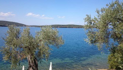 Saint Andrews Bay - Foto 5