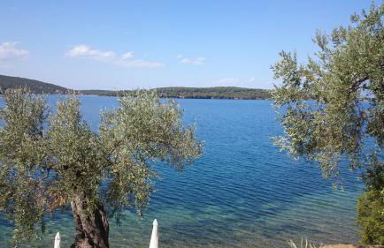 Saint Andrews Bay - Foto 5