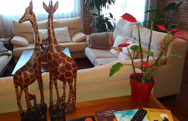 La Casa del Marqués - Foto 37