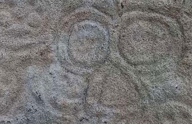 La Piedra Letrada Petroglyphs Day Trip - Photo 3