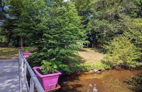 Île privée en Berry, nature et pêche, chauffage central - FR-1-591-593 - Foto 27