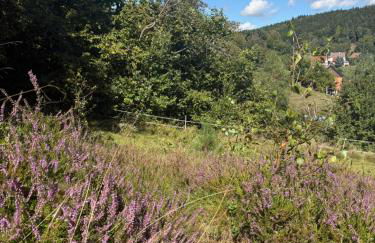 Landhaus Sommerberg - Foto 31