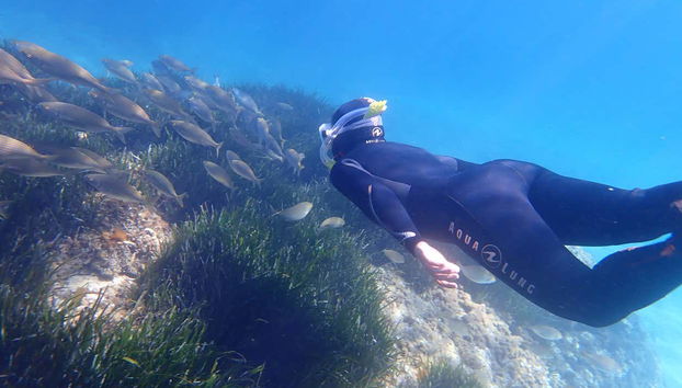 Snorkel en la Reserva Marina Cala Delta - Foto 5, Observando la fauna marina de Cala Delta