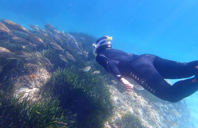 Snorkel en la Reserva Marina Cala Delta - Foto 5