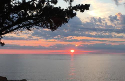 Résidence Casa Toga - Foto 59