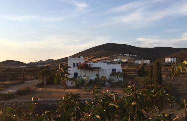 Island White - Foto 26