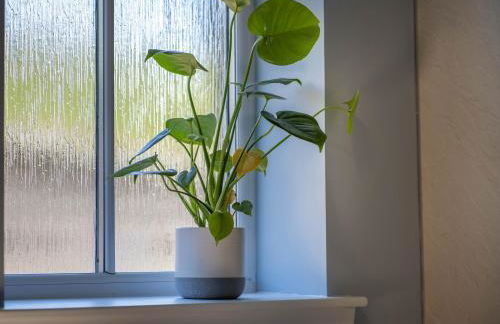 Clayhills Cottage - Photo 22