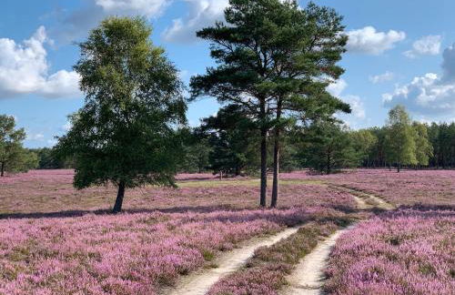 Familienhaus - Foto 31