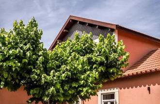 Casa da Lameira Douro Valley - Photo 23