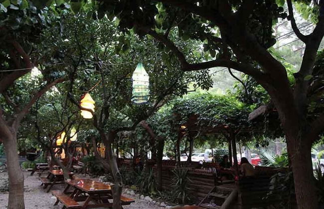 Sheriff Olimpos - Photo 28