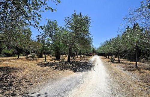 SA ROTA Finca en Bunyola 8 personas- Muy tranquilo - Photo 10