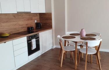 Zamiejska Modern Apartments NOWY APARTAMENTOWIEC WINDA - Photo 3