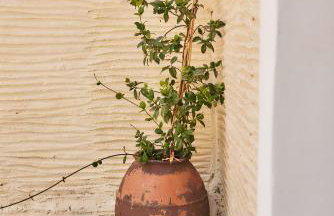 Oak Farm Traditional guesthouse - Foto 39