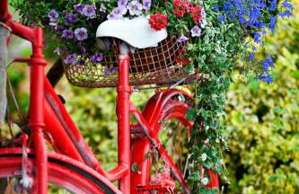 Ferienwohnung Uta - Foto 14