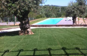 Casa das Rendufas- Turismo Rural com Figos - Foto 33