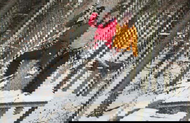 Entrada a Ropes Park Interlaken - Foto 7