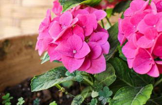 Casa VersoMare una corte nel Mediterraneo - Foto 32