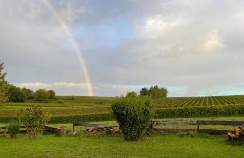 Haus Rebenblick - Foto 24