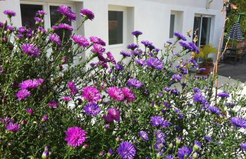 Lake House St Pee Sur Nivelle - Foto 16