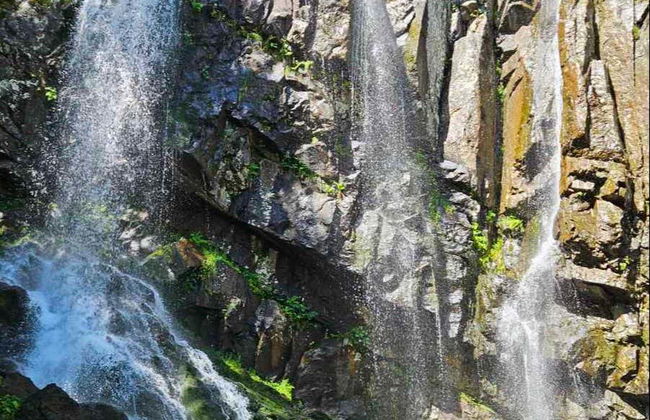 Excursión a la montaña Vitosha y la cascada Boyana - Foto 2
