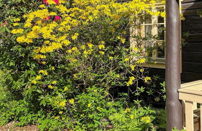 7 Person Holiday Home in Henan - Foto 30