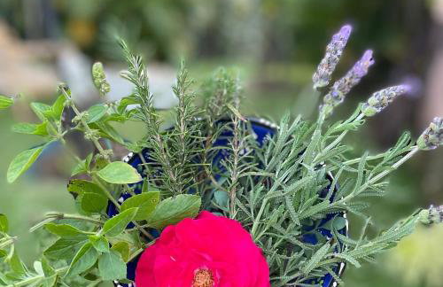 Vale Vijaya bem estar em meio à natureza - Foto 43