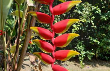 Villa Suhr Cabanas - Foto 8