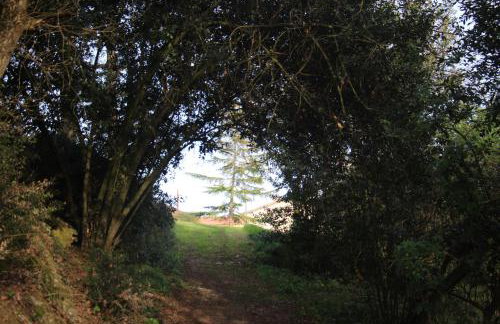 Le Merlat Gite - Foto 33