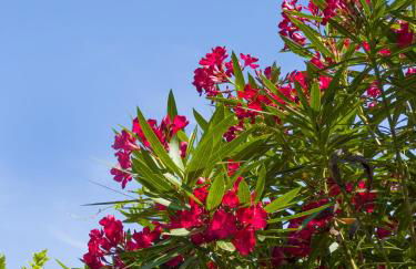 Vigentino Suites - Foto 22