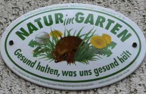 Fewos Storchenhof am Kummerower See - Foto 6