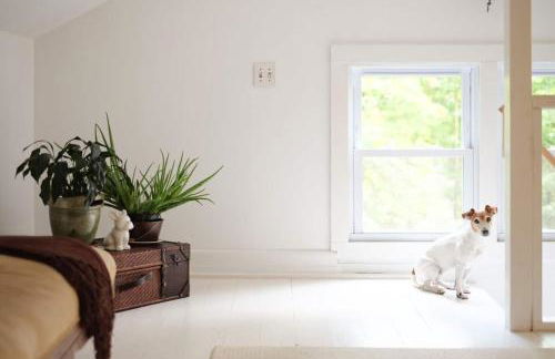 renovatedhot tublake accesspedal boatcozychic - Foto 63